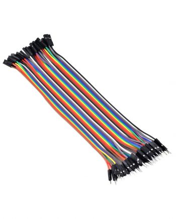 40 Wire Male-Female Cable (30cm)